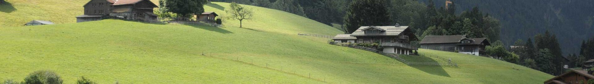 Paríž - Gstaad: prenájom súkromného lietadla 