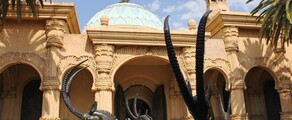 Johannesburg : prenájom súkromného lietadla 