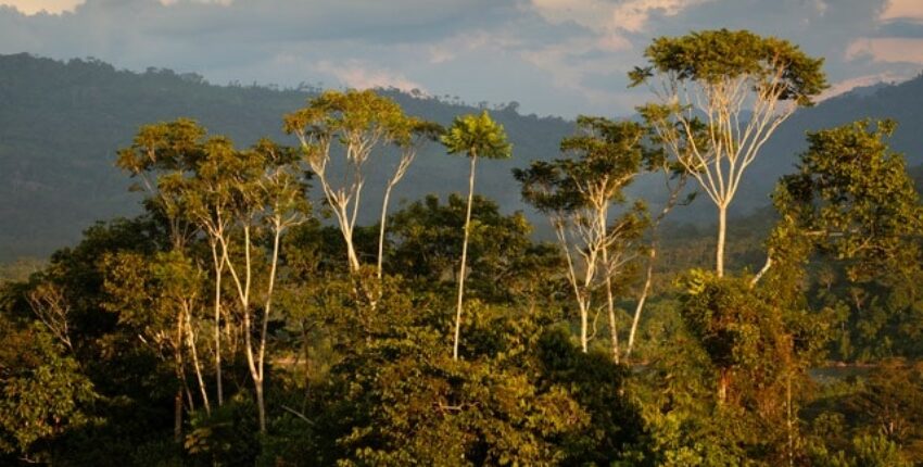 Lima : prenájom súkromného lietadla 