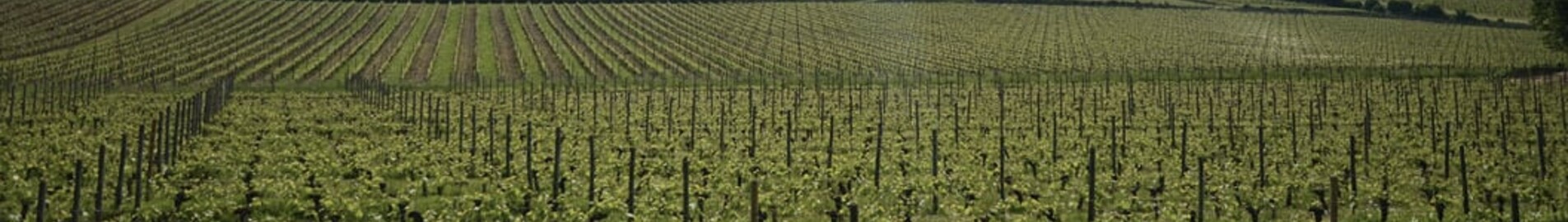 Bordeaux Mérignac: prenájom súkromného lietadla 