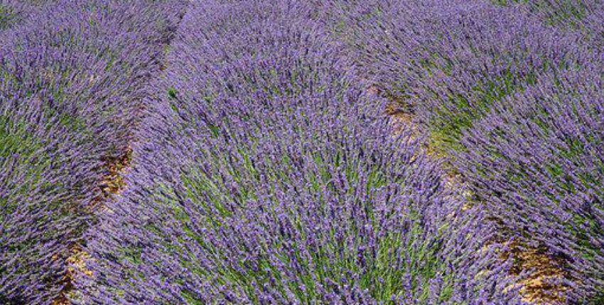 Aix en Provence Aix les Mille: prenájom súkromného lietadla