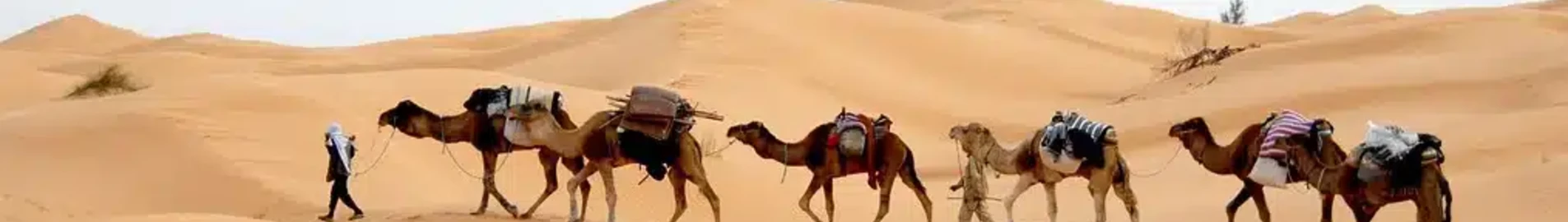 Tunis: prenájom súkromného lietadla