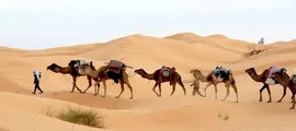 Djerba Zarzis : prenájom súkromného lietadla