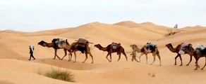 Tunis: prenájom súkromného lietadla