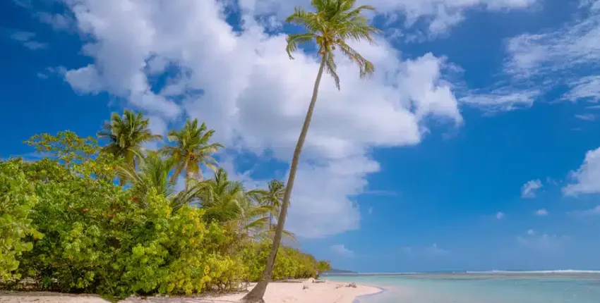 Guadeloupe: prenájom súkromného lietadla 