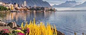 Hamburg - Ženeva : prenájom súkromného lietadla