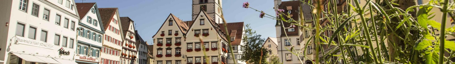 Biberach An Der Riss : prenájom súkromného lietadla 