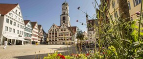 Biberach An Der Riss : prenájom súkromného lietadla 