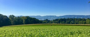 Dubendorf: prenájom súkromného lietadla 