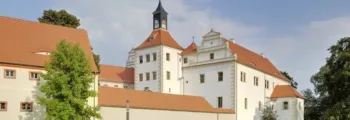 Kaunas S Darius : location de jet privé