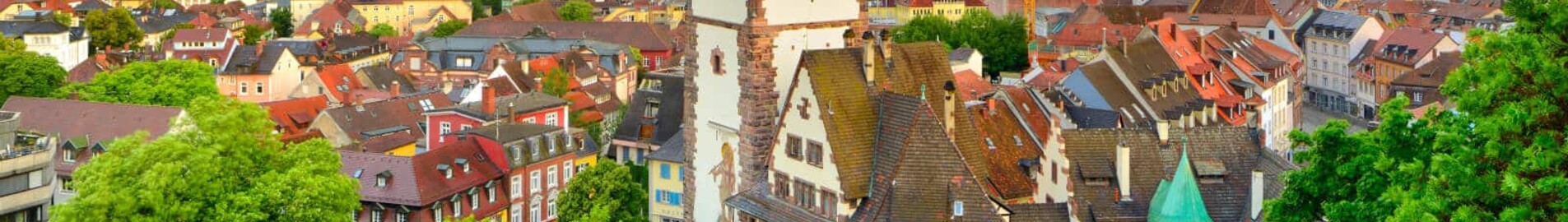 Freiburg-en-Brisgau: prenájom súkromného lietadla 