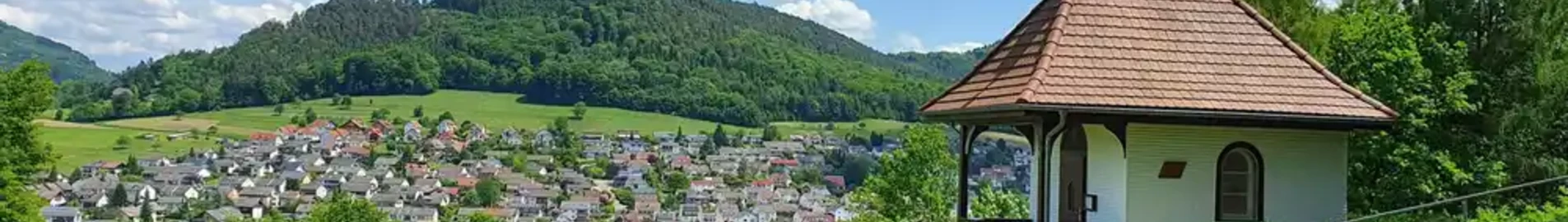 Lahr Schwarzwald: prenájom súkromného lietadla 