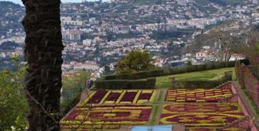 Funchal ostrov Madeira : prenájom súkromného lietadla 
