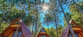 Reichelsheim: prenájom súkromného lietadla 