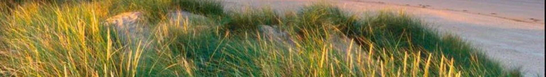 Pembrey: prenájom súkromného lietadla 