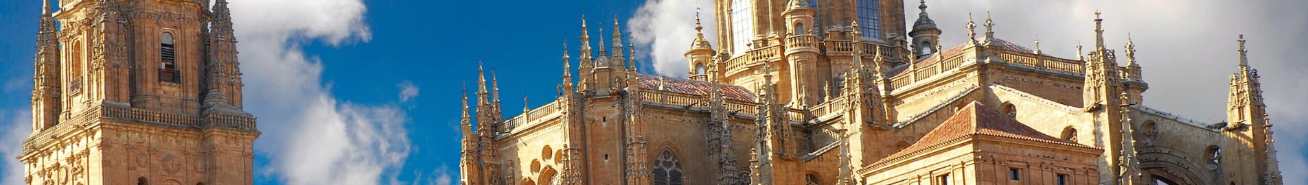 Salamanca Matacan : prenájom súkromného lietadla 