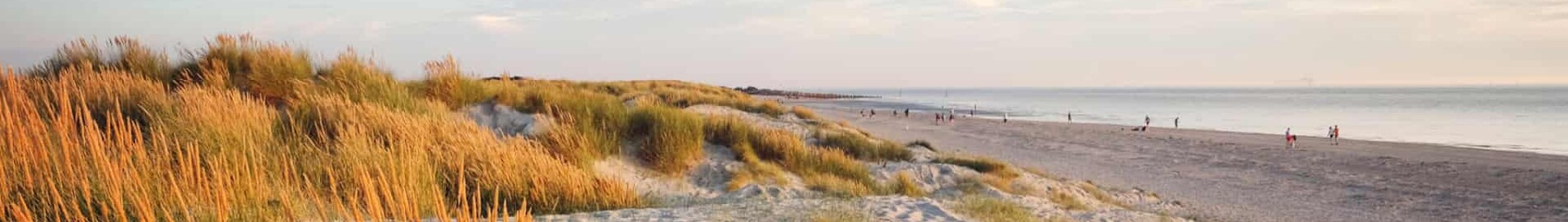 Wittering : prenájom súkromného lietadla 