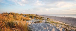 Wittering : prenájom súkromného lietadla 