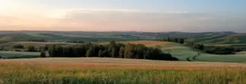 Vue aérienne du stade EURO 2020, environnement urbain.