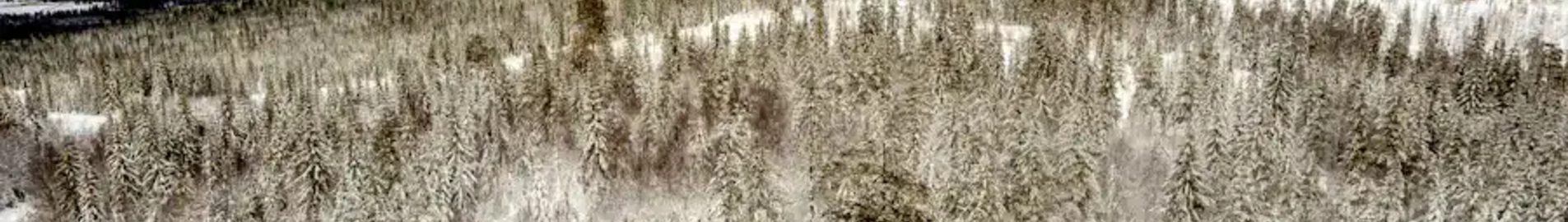Hagfors : prenájom súkromného lietadla