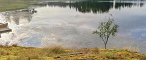 Halli: prenájom súkromného lietadla