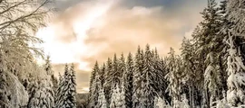 Jokkmokk : prenájom súkromného lietadla