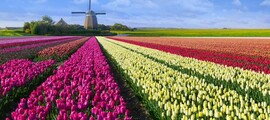Eindhoven : prenájom súkromného lietadla 