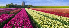 Hoogeveen: súkromné letisko