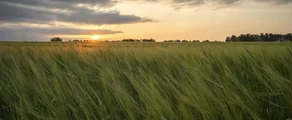 Kemerovo : prenájom súkromného lietadla