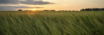 Zargan : location de jet privé