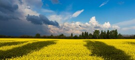 Dnepropetrovsk : prenájom súkromného lietadla