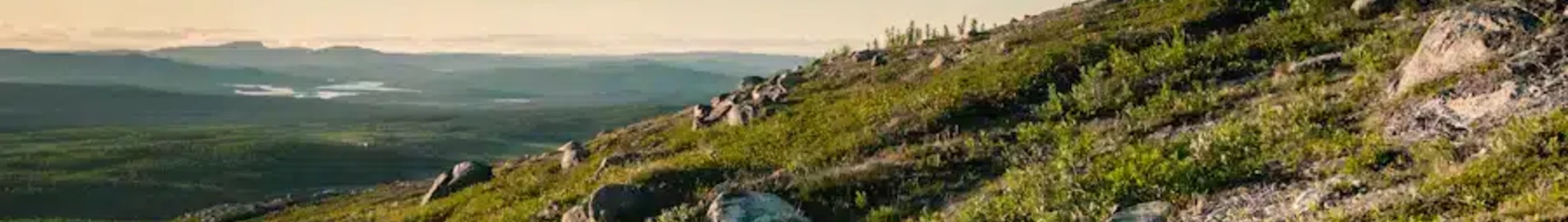 Kiruna : prenájom súkromného lietadla