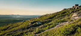 Karlskoga : prenájom súkromného lietadla