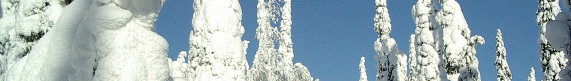 Kuusamo : prenájom súkromného lietadla 