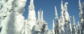 Kuusamo : prenájom súkromného lietadla 