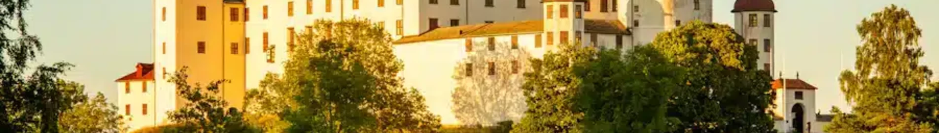 Lidkoping : prenájom súkromného lietadla