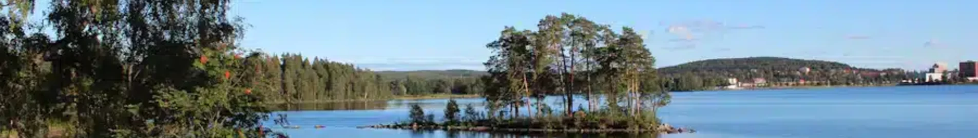 Ludvika: prenájom súkromného lietadla