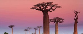 Madagaskar: Prenájom súkromného lietadla