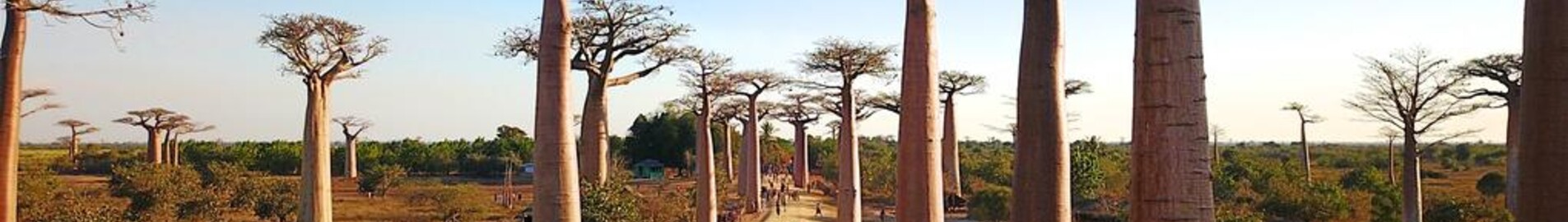 Morondava : prenájom súkromného lietadla