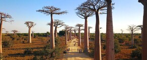 Morondava : prenájom súkromného lietadla
