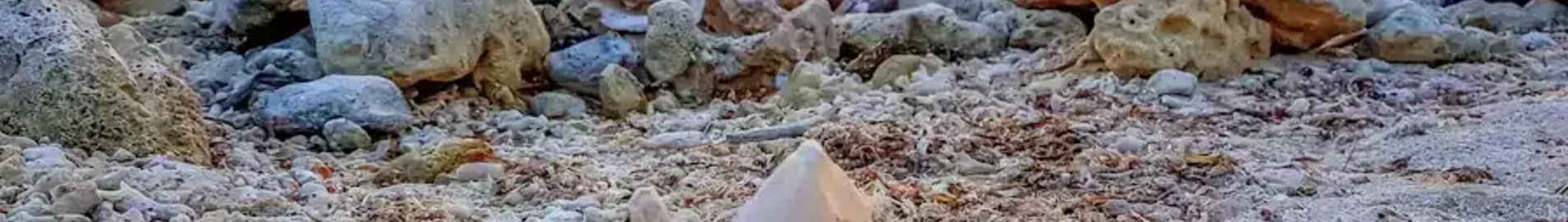 Mustique : prenájom súkromného lietadla