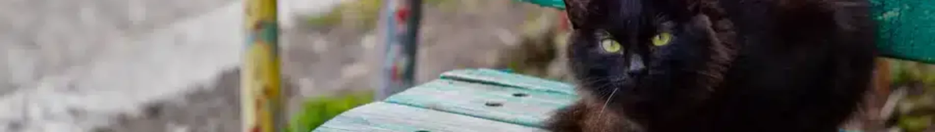 Nižnekamsk Begishevo : prenájom súkromného lietadla