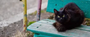 Nižnekamsk Begishevo : prenájom súkromného lietadla