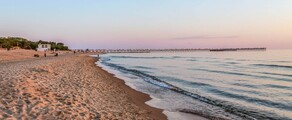 Palanga : prenájom súkromného lietadla 