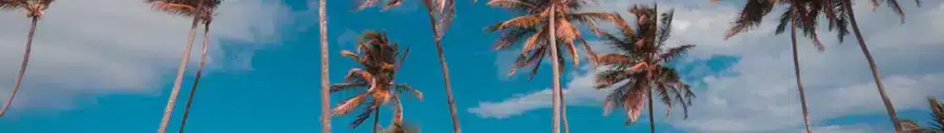 Punta Cana: prenájom súkromného lietadla