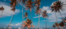 Cabo Rojo : prenájom súkromného lietadla