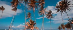 Punta Cana: prenájom súkromného lietadla