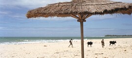 Madagaskar : Prenájom súkromného lietadla