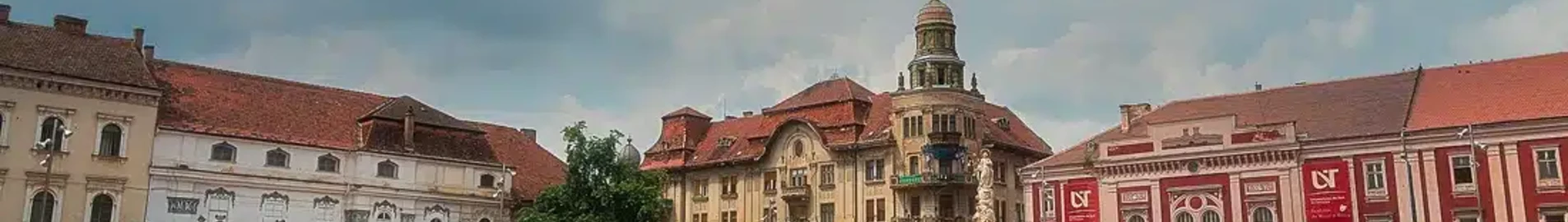 Satu Mare: prenájom súkromného lietadla