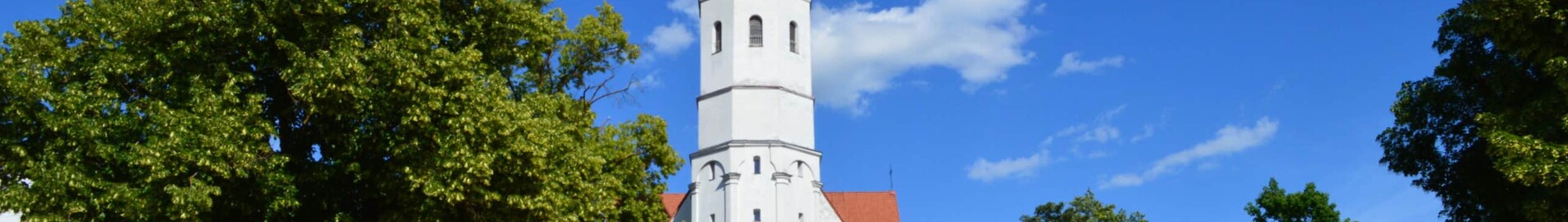 Siauliai : prenájom súkromného lietadla 